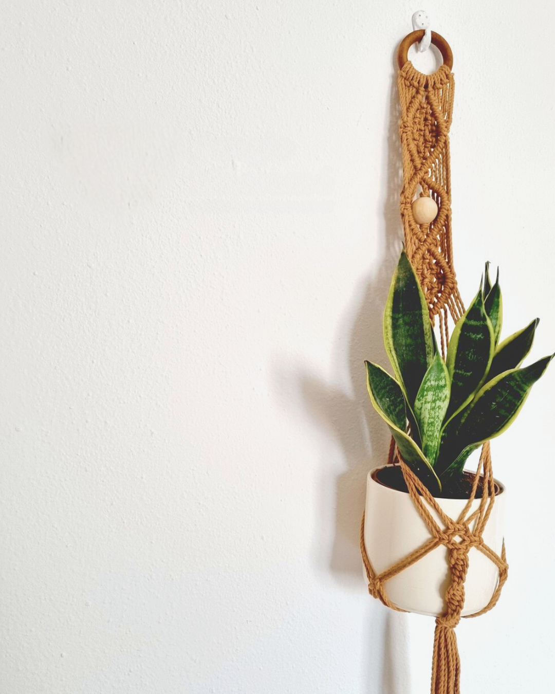 Ebook Aprende & Decora