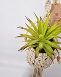 Mini Suporte de Plantas Macramé - Modelo Cesto 55cm