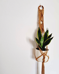Suporte de Plantas